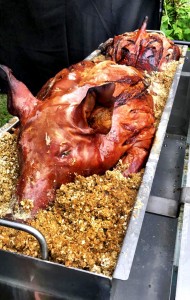 Taste the Cracklin